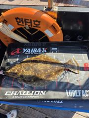 삼길포 헌터호 5/10 우럭ㆍ광어 조황 사진