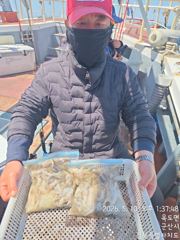 * 군산 아레나호 * 쭈꾸미 조황 ~~ 주말 참돔 피딩 출조 사진