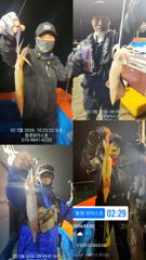 대박 한치가 터졌어요 사진