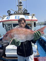 참돔 흘림 5월13일 조황 사진