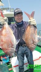 14일 참돔흘림 조황 입니다 사진