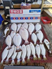 5월17일 조황입니다 ~이번주도 알배기 암놈 조사님이 방생해주었습니다~ 오늘도 조사님들 열낚하시느라 고생하셨습니다 ^^♡ 감사합니다 ❤️ 사진
