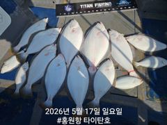 홍원항 타이탄호 5월17일(일) 광어다운샷 '한방''인생고기' 사진