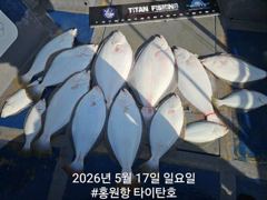 5/17 홍원항 블랙펄호 참돔 타이라바 조황 사진