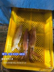 한치 터졌답니당 사진