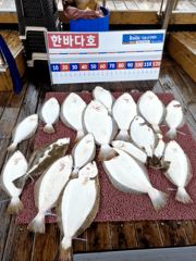 5월20일 한번출항~  조황입니다 ^^ 궂은날씨에 비도오고 바람도불고  조사님들  넘 고생하셨습니다 ~♡ 우리  담에  또 만나요~^^♡ 사진