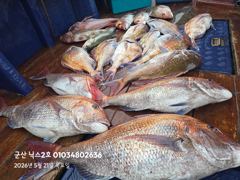 5.21 닉스2호 참돔타이라바조황 7짜8짜!! 사진
