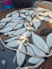 오늘의조황 - 5월 18일 삼길포 헤르메스 조황 - 삼길포 헤르메스 우리좌대 사진