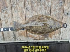 23일 썬크루즈호 대광어 다운샷 실시간 조황입니다 사진