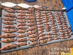 5월24일 대박조황~~ㅋ 사진