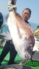 참돔 선상흘림 및 갯바위 조황입니다 사진