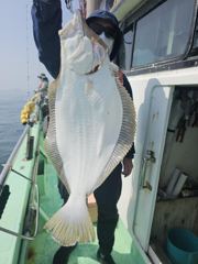 해진호 5월 24일 대광어 조황 사진