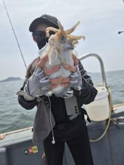 5/24일 봄 갑오징어 소수인원 출조조황!!!