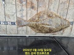 24일 군산 썬크루즈호 6분 모시고 대광어 다운샷 출조 조황입니다 사진