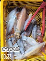 [한치]좋은날씨.100수 가즈아(오늘출항확정,자리널널) 사진