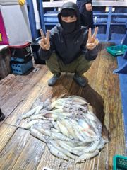 25일 한치입항조황입니다.. 사이즈 마릿수 나오기시작~ 사진