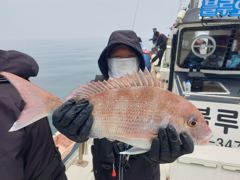 삼길포 블루오션호 5/25 타이라바 조황 사진