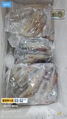 5월24일 한치조황!  오늘도 열심히 달려보겠습니다~^^ 사진
