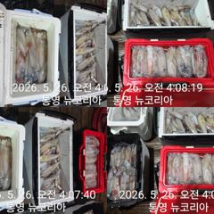 계속 먹물왕대포한치 집고 이기자!!! 사진