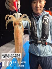 [한치]싸이즈"끝장"대포한치,대,중소,마리수(금요일,출항확정) 사진