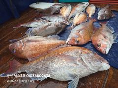 5.27 닉스2호 참돔타이라바 조황 5분!! 사진