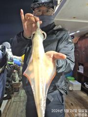 먼바다대포한치출조합니다(토ㆍ일요일)자리여유있습니다 사진