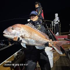 5월28일 83cm 조황입니다~~ 사진