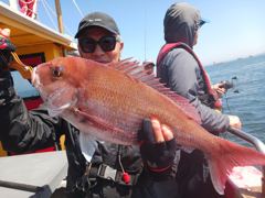 2026.5.29.(금).* 참돔 출조 조황 * 수고 많으셨습니다.* 사진