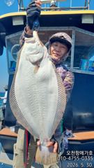메가호5월30일광어다운샷조황 사진