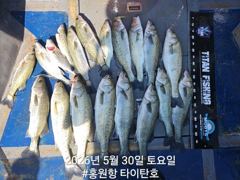 5/30 홍원항 타이탄호 농어 외수질 사진