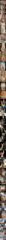 아쿠아호 토욜 왕한치!낼 월욜부터 예약가능합니다 사진