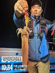 [한치]대포한치,대,증,소,조황(수요일부터,출항) 사진