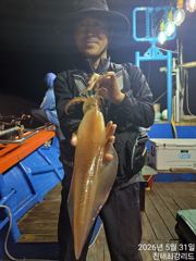 대포 한치~한치 쌍걸이 청기백기(오늘예약가능 사진
