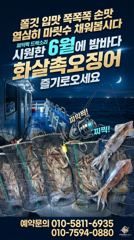 화살촉오징어  사진
