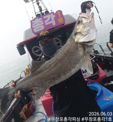 보령 무창포 농어 생미끼 외수질 < 총각1호 > 오늘도 대박 조황!!! 평일 자리 여유~!!
