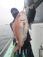 해진호 6월 6일 참돔 조황 사진