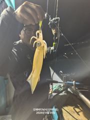 먹물한치 싸이즈 최고 손맛 최고 사진