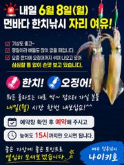 ✅내일 6월 8일(월) 먼바다 한치낚시 자리 여유!/금일 19시 나이키호 갈치지깅7,월31일~8,9,10월일정 오픈 됩니다. 사진