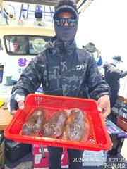 6일 군산창성호 갑오징어조황 사진