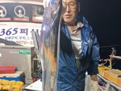 여수365피싱//7일한치,갈치 출조다녀왔네요//수.목.금.토.일.자리널널합니다// 예약문의: 010-9070-0365 사진