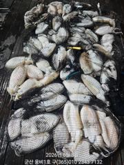 짤막한 피딩 사진
