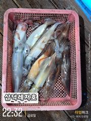 [한치]한치,"터졌다"오늘,황제낚시,가실분(오늘15시출항확정) 사진