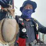 26년5월28일 홍원항 백두산호 봄 왕갑오징어 조황입니다.. 사진