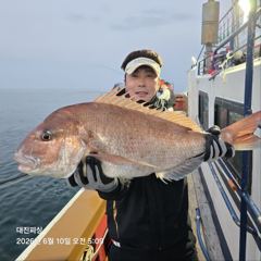 6월10일 참돔흘림조황입니다 사진