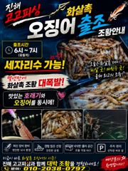 화살촉오징어 끝입없는입질 3자리수!! 미쳣다