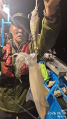 ((왕대포한치))오늘 청기백기 난타전 오늘오후3시(예약가능자리완전텅텅  사진