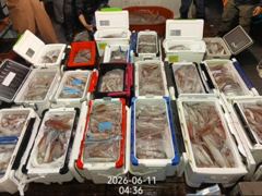 아쿠아호 괴물야리!200수200수 조대박!먹물칠갑!월욜부터 자리여유 사진