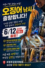 오징어낚시 19시출항 합니다.