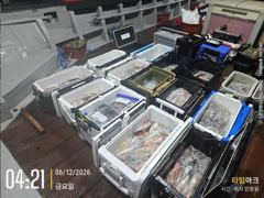 쌍걸이 미사일[한치~한치]12일입항 오늘요만큼[월요일부터]예약가능 사진