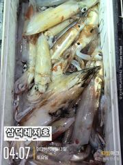 [한치]쌍걸이.쓰리걸이.더불히트(일.월.화..예약중) 사진